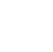 white hand holding a checked badge icon